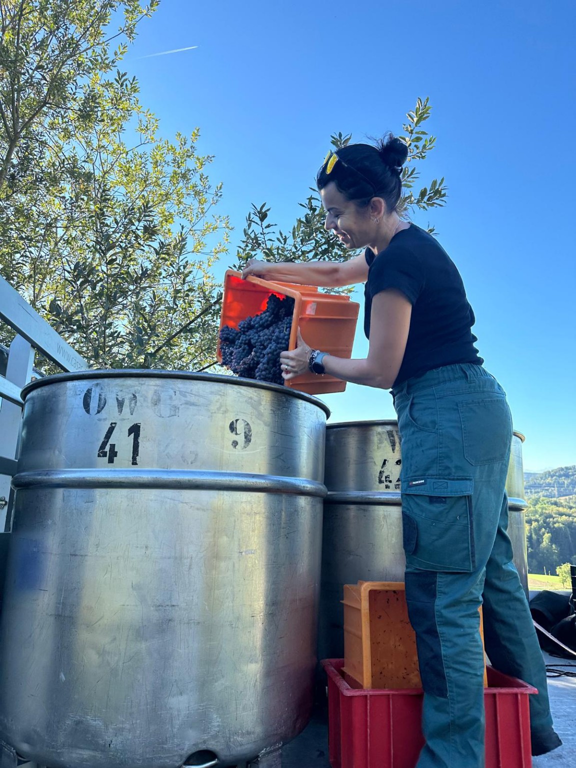 Beáta processing the harvest at the winery
